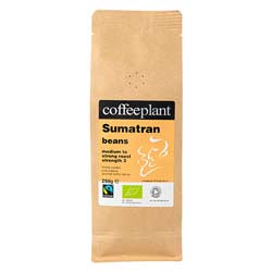 Sumatran Organic Fairtrade 250g Coffee Beans in Valve Pack